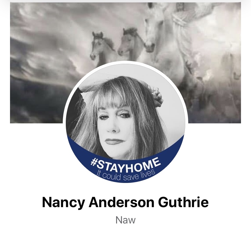 Nancy Anderson Guthrie Facebook shamer